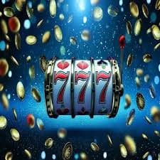 sport bet