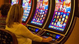 sport bet